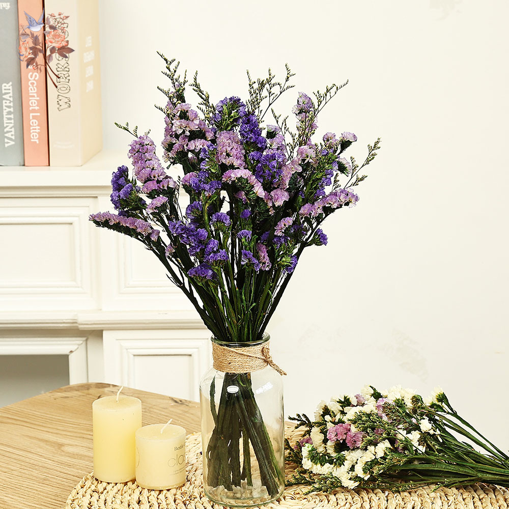 100g ธรรมชาติจริงลืม-me-not ดอ - Dried Flower Bulk บทวิจารณ์และราคา